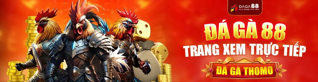 Đá gà trực tuyến tại WS168 - Trận đấu kịch tính
